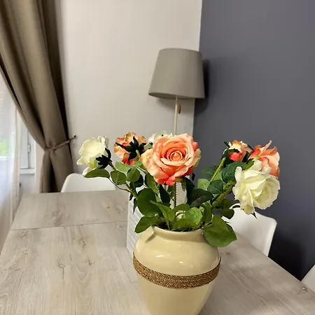 Chic Flat Monte Mario * روما